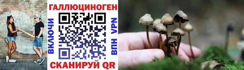 Псилоцибиновые грибы ЛСД  Грязи 