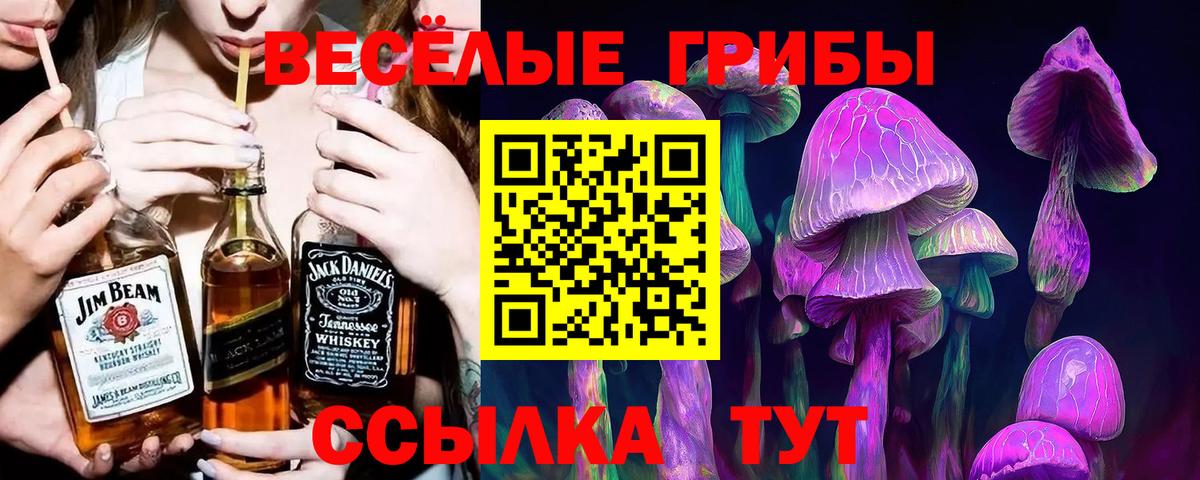 Псилоцибиновые грибы ЛСД  Вход с VPN  Грязи 
