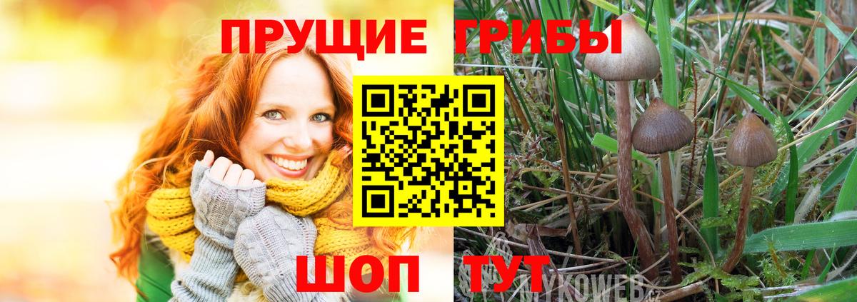 Галлюциногенные грибы Cubensis  Грязи 