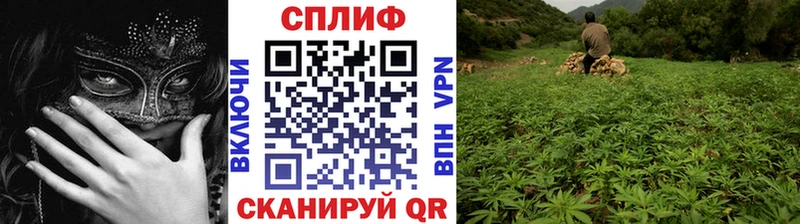 Каннабис план  Грязи 