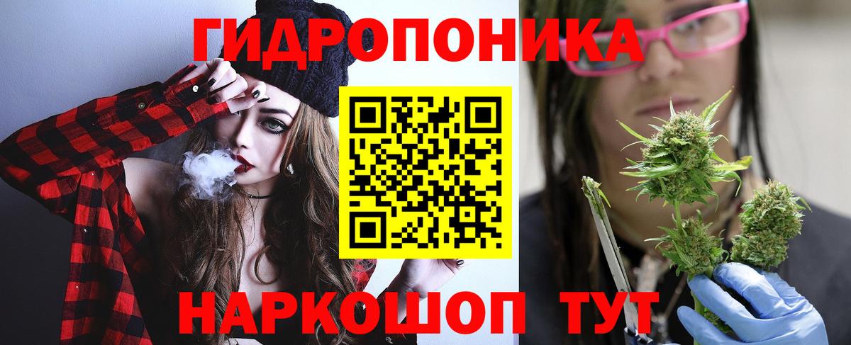 Каннабис сатива Грязи